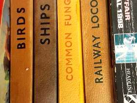 Freecycle 4 Observer Pocket Books