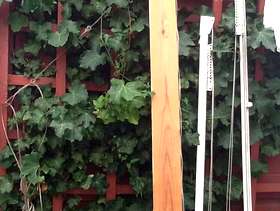 Freecycle Curtain rails with pulleys