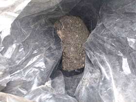 Freecycle Free Soil