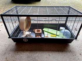 Freecycle Hamster cage & accessories