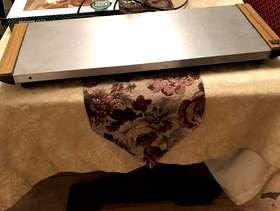 Freecycle Hostess tray