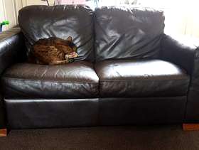 Freecycle Leather settee and chair