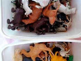 Freecycle Farm animals and wild animals