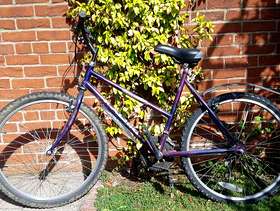 Freecycle Raleigh mountain bike - small
