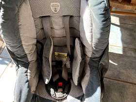 Freecycle Car Seat