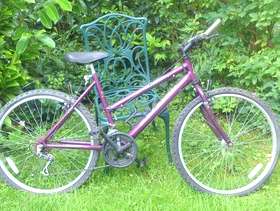Freecycle Raleigh girl's bicycle