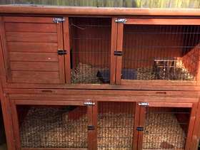 Freecycle Rabbit hutch