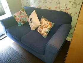 Freecycle Sofa bed