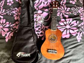 Freecycle Ukulele