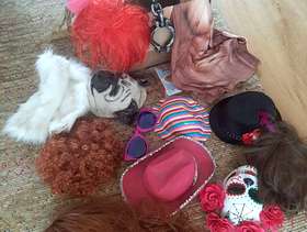 Freecycle Dressing up box - variety of items