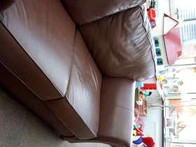 Freecycle 2seatet settee