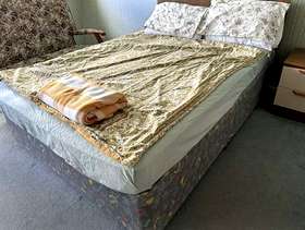 Freecycle Double bed