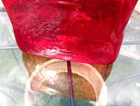 Freecycle Vase
