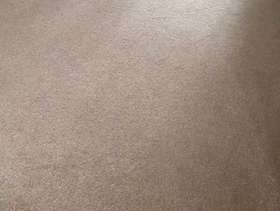 Freecycle Beige carpet 2.4M x 3.6M