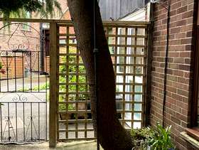 Freecycle Bird feeding items