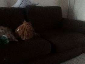 Freecycle 2 three seater sofas