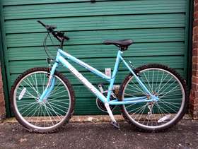 Freecycle Bike