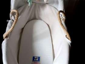 Freecycle Moses basket