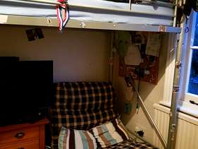 Freecycle Cabin bed with desk and single sofa/sofa bed underneath
