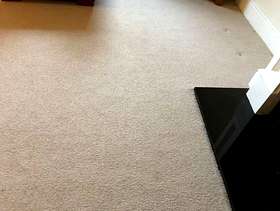 Freecycle Pale good quality carpet 310x440 cm