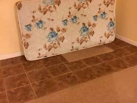 Freecycle Twin mattress