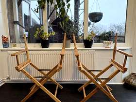Freecycle 2x directors chair frames