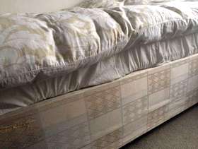 Freecycle Single Divan Bed with Mattress Kew