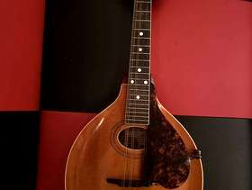 Freecycle VINTAGE! Beautiful 1907-1917 Gibson A Style 8 String Mandolin