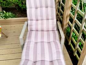 Freecycle Outdoor Chair and Chaise Cushions