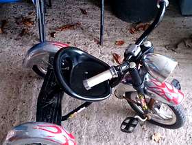 Freecycle Childs trike