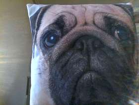 Freecycle Pug cushion