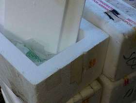 Freecycle Styrofoam shippers