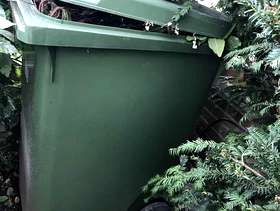 Freecycle Green large wheelie bin