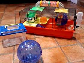 Freecycle Hamster Cage