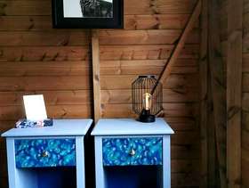 Freecycle Free delivery to local areas - Upcycled pair of peacock ...