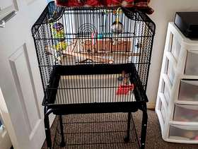 Freecycle Budgie cage With All accessories