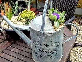 Freecycle Watering can planter