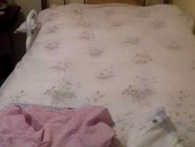 Freecycle Single bed