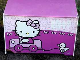 Freecycle Girls storage box