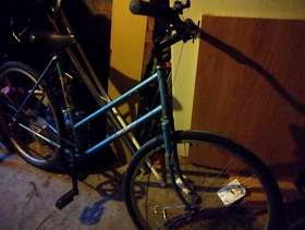Freecycle Ladies bike