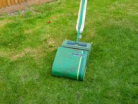 Freecycle Small electric lawnmower
