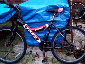 Freecycle Adult mountain bike