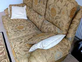 Freecycle Sofa recently steam cleaned