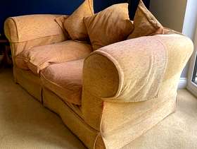 Freecycle Sofa
