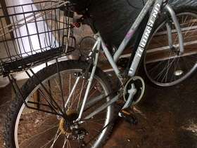 Freecycle Bicycle