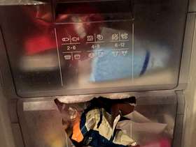 Freecycle Fridge freezer