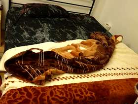 Freecycle Bed with mattress