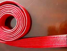 Freecycle Red Belt for Karate/Judo Martial Arts