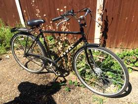 Freecycle Adult Bike