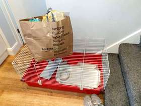 Freecycle Guinea pig cage